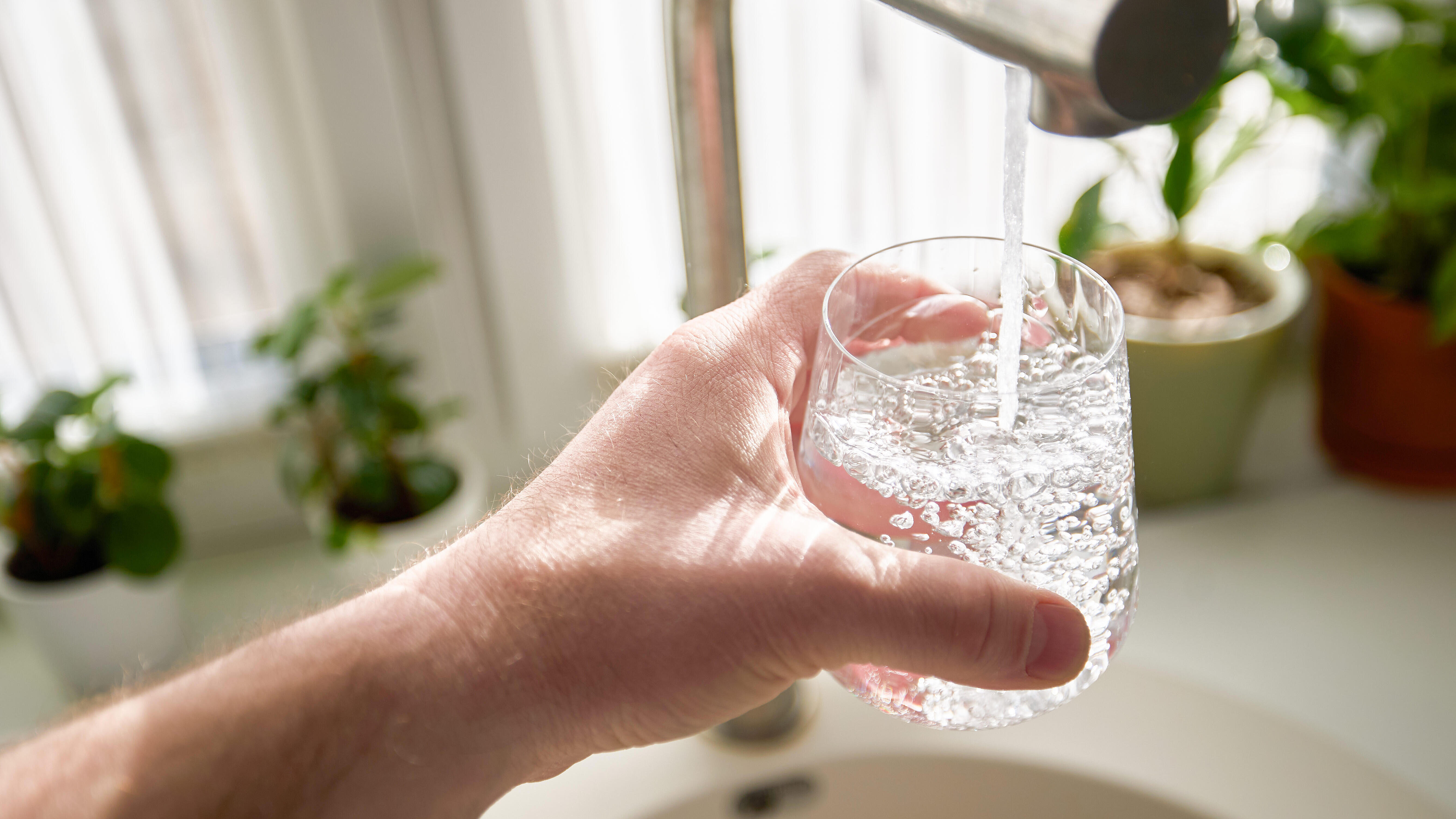 Eine Hand hält ein Wasserglas unter einen laufenden Wasserhahn.