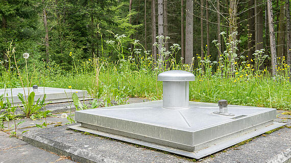 Eine silberne Metallplatte mit einem zentralen Aufsatz, umgeben von Gras und wildem Blumenbewuchs. Der Standort ist im Wald, mit Bäumen im Hintergrund. Die Platte scheint Teil einer großflächigen, gepflasterten Oberfläche zu sein.