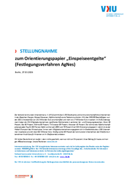Deckblatt der Publikation VKU-Stellungnahme zu den AgNes-Orientierungspunkten zu Einspeiseentgelten