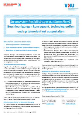 Deckblatt der Publikation VKU-Positionspapier zum parlamentarischen Verfahren im August 2026 zum EEG 2027: Ausbau effizient sichern, Energieversorgung vor Ort stärken