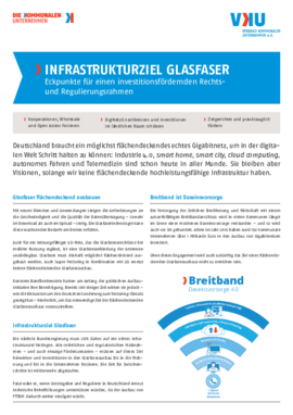 Lobbyblatt_Infrastrukturziel Glasfaser_26.09..indd