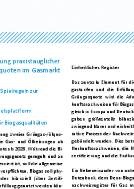 Deckblatt der Publikation VKU-Positionspapier zu praxistauglichen Rahmenbedingungen für Biogastarife