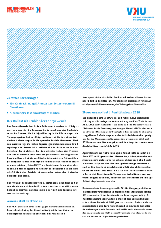 Deckblatt der Publikation Weniger Bürokratie, mehr Anreize – für einen praxistauglichen Steuerungsrollout