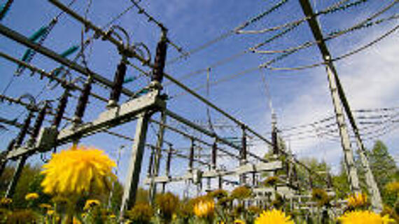 Novelle der Energie- und Stromsteuerverordnung in Kraft getreten