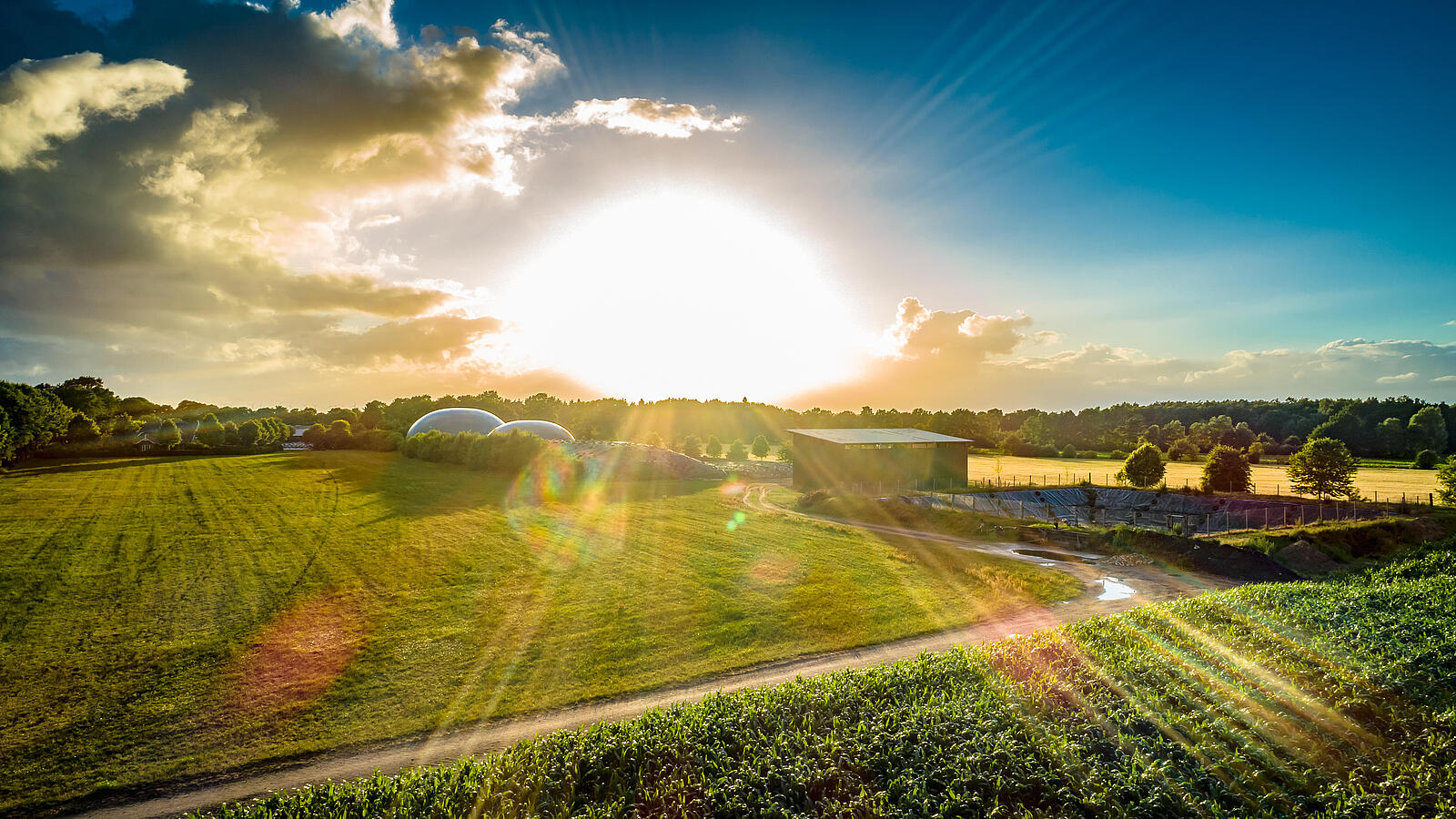 Sonnenaufgang auf einem Feld am Waldrand mit einer Biogasanlage