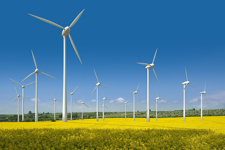 Windkrafträder in einem Rapsfeld, Offshorepark zur Energieerzeug