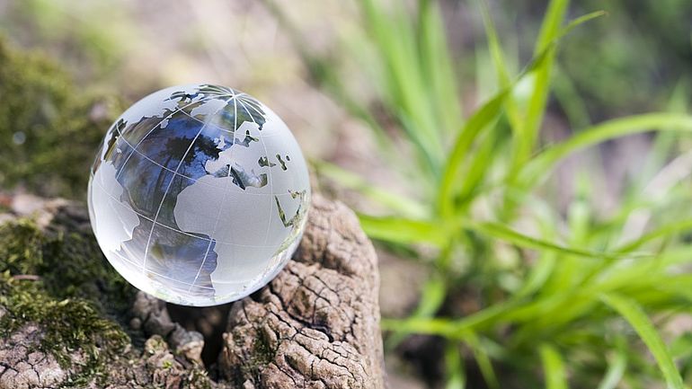 Klimawandel, Naturschutz
