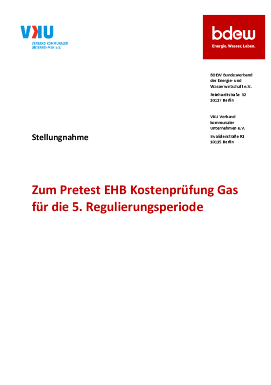 Deckblatt der Publikation Stellungnahme zum Pretest EHB Kostenprüfung Gas für die 5. Regulierungsperiode