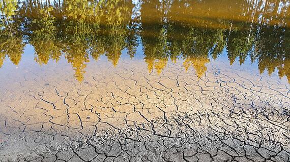 Dürre Bodenrisse vor einem ruhigen Gewässer, das von umliegenden Bäumen reflektiert wird. Die Uferlinie zeigt eine klare Trennung zwischen dem trockenen Land und dem stillen Wasser.