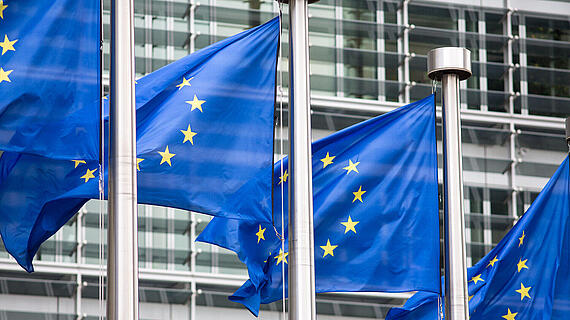 Mehrere Flaggen der Europäischen Union wehen an hohen Flaggenmasten vor einem modernen, glasverkleideten Gebäude. Die Flaggen sind blau mit einem gelben Sternenkranz in der Mitte.