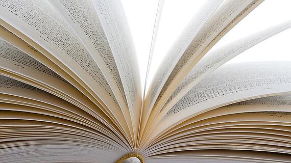 Eine offen liegende Buchseite mit mehreren umgeblätterten Seiten, die in einer leicht fächerförmigen Anordnung gezeigt werden. Der Fokus liegt auf der Buchmitte und den Seitenrändern.