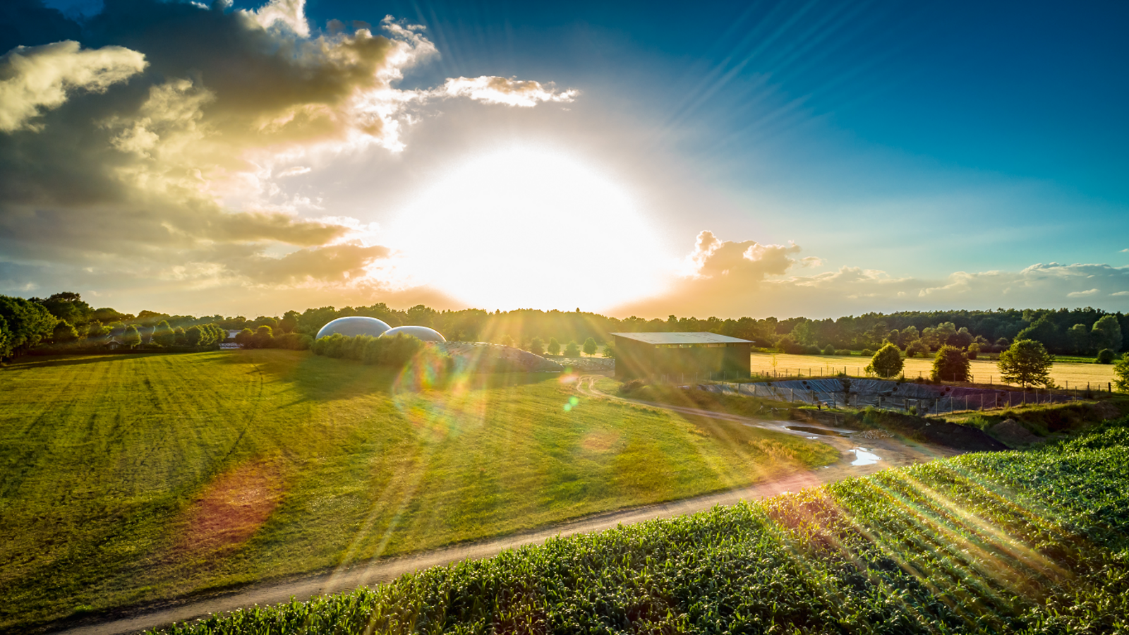 Sonnenaufgang auf einem Feld am Waldrand mit einer Biogasanlage