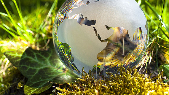 Weltkugel aus Glas, Erde mit Gras und Sonne, Naturschutz, Umweltschutz, Klimaschutz