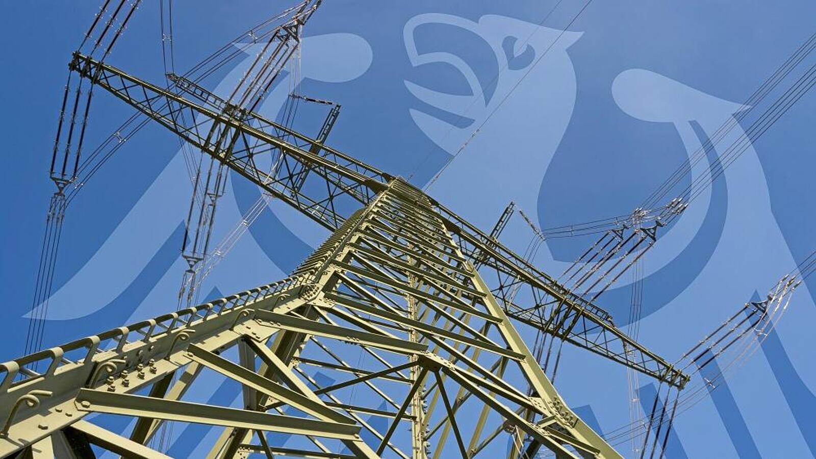 Froschperspektive auf einen Strommast. Im Bild nachträglich darübergelegt ist ein halbtransparenter Adler als Wappentier