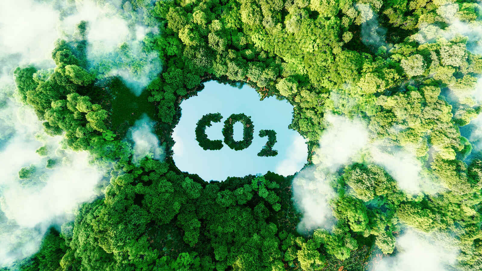 Blick von oben auf einen grünen Wald mit Wolken. Auf einer Wolke steht CO2