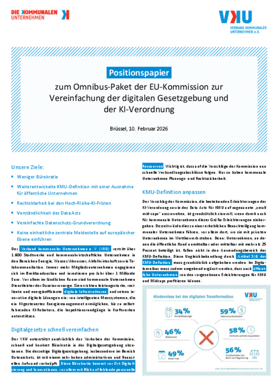 Deckblatt der Publikation Positionspapier zum Omnibus-Paket der EU-Kommission zur Vereinfachung der digitalen Gesetzgebung und der KI-Verordnung