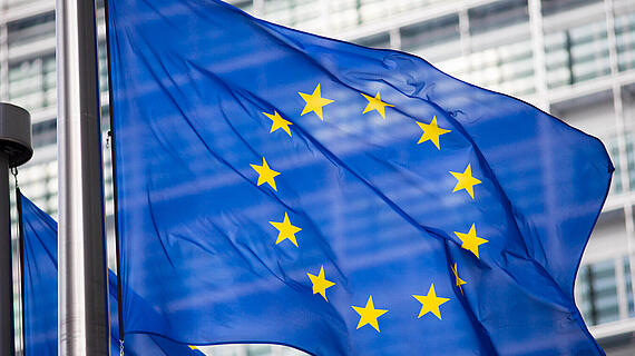 Die Flagge der Europäischen Union weht im Wind, mit zwölf goldenen Sternen in einem Kreis auf blauem Hintergrund. Im Hintergrund sind unscharf moderne Gebäude zu sehen.