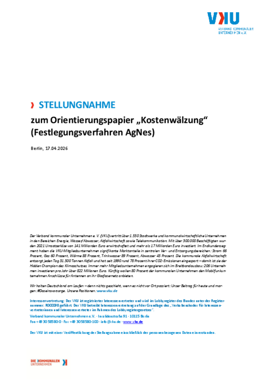 Deckblatt der Publikation VKU-Stellungnahme zum Orientierungspapier „Kostenwälzung“ (Festlegungsverfahren AgNes)
