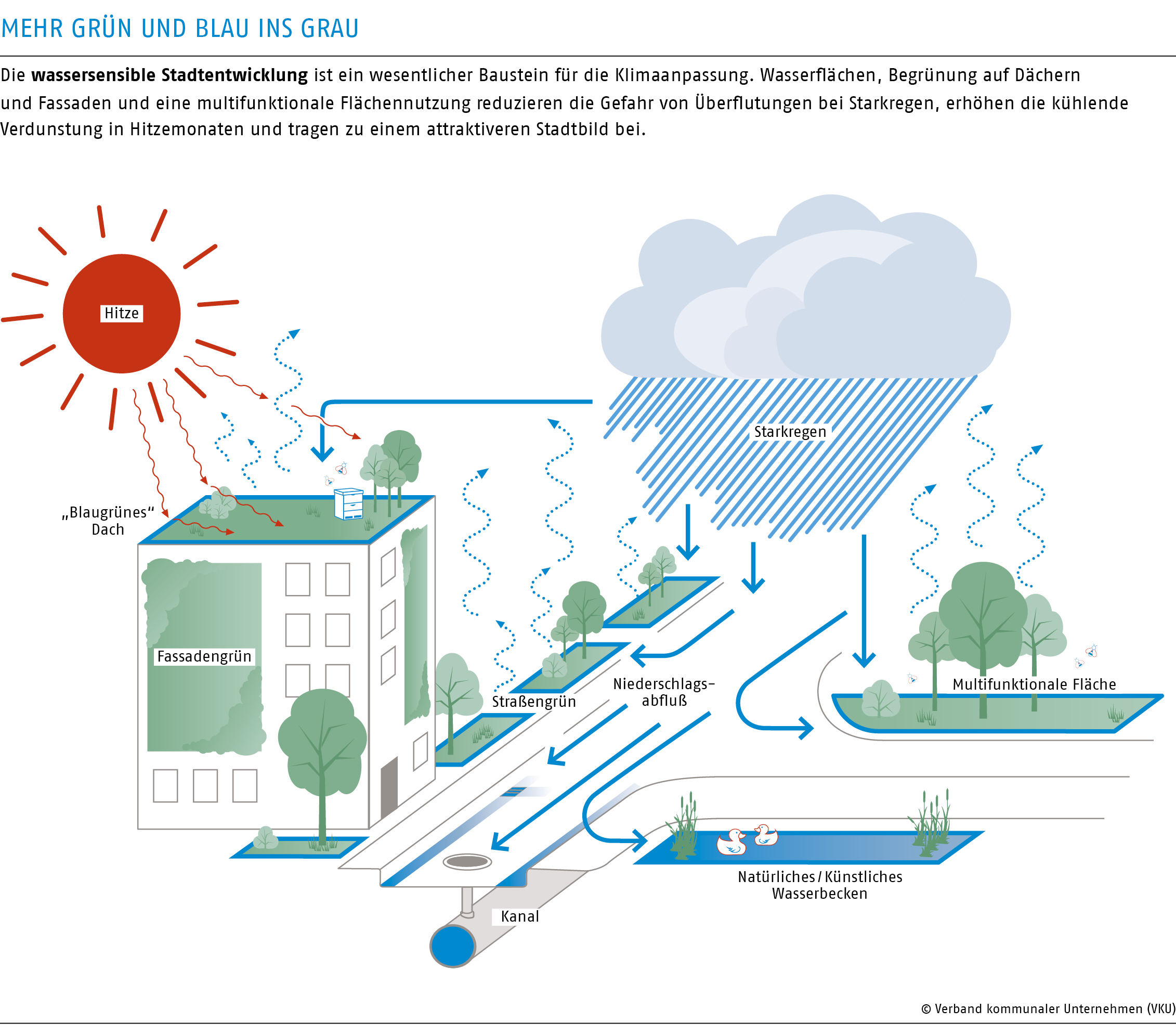 Mehr Grün und Blau ins Grau 