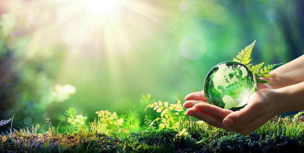 Hände halten eine Glasglobe mit einem grünen Wald im Hintergrund. "Environment Concept"